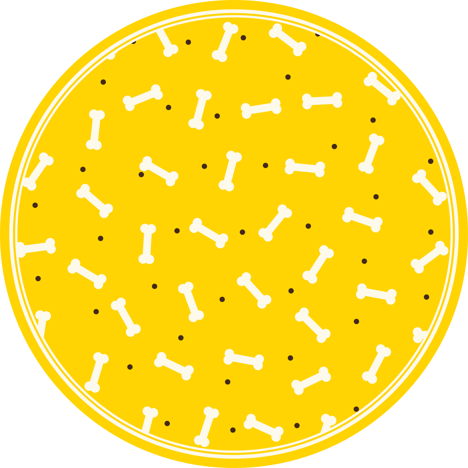乙烯基地毯动物黄色骨头图案 - TenStickers