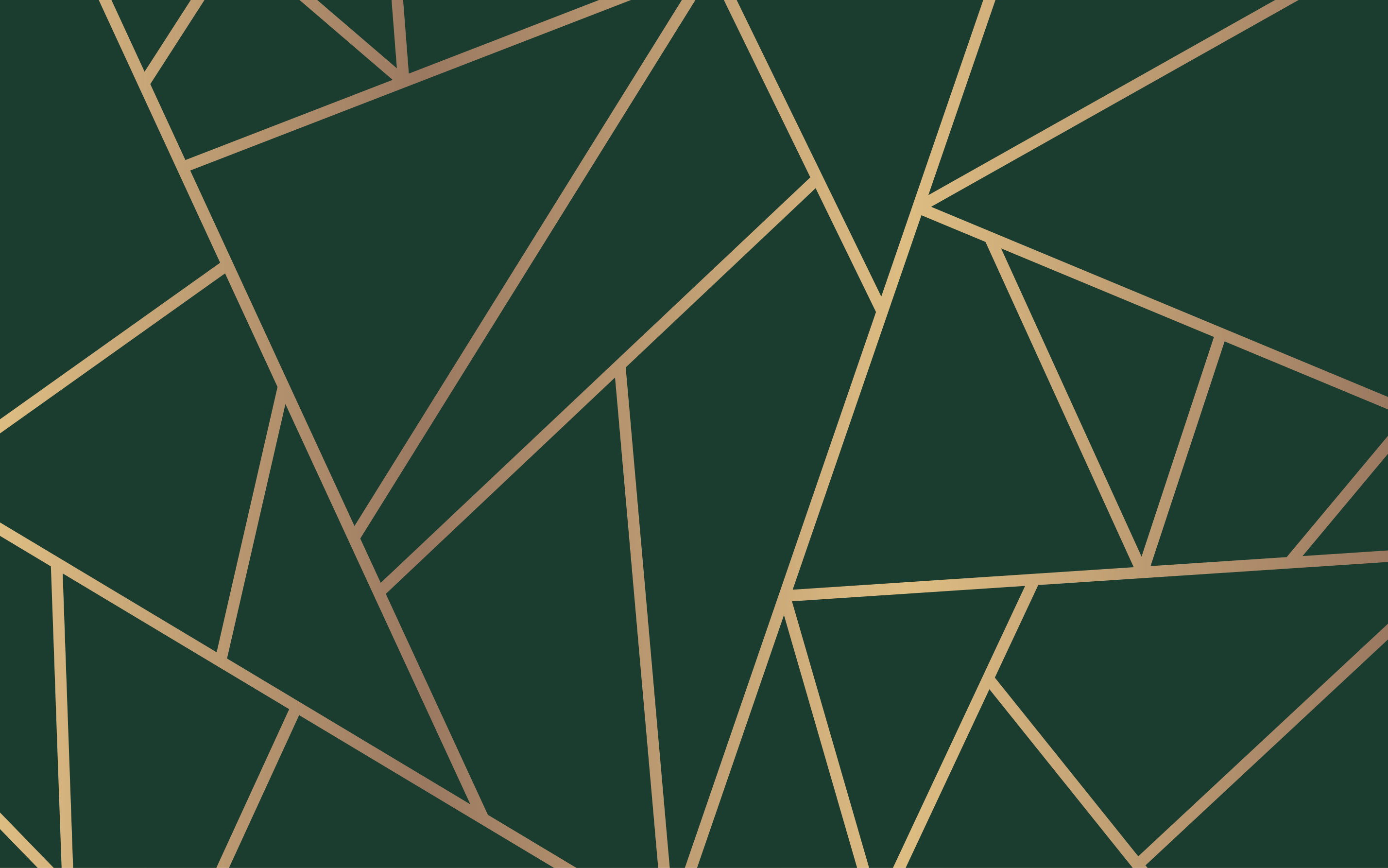 乙烯基地毯几何 绿色优雅的线条 - TenStickers