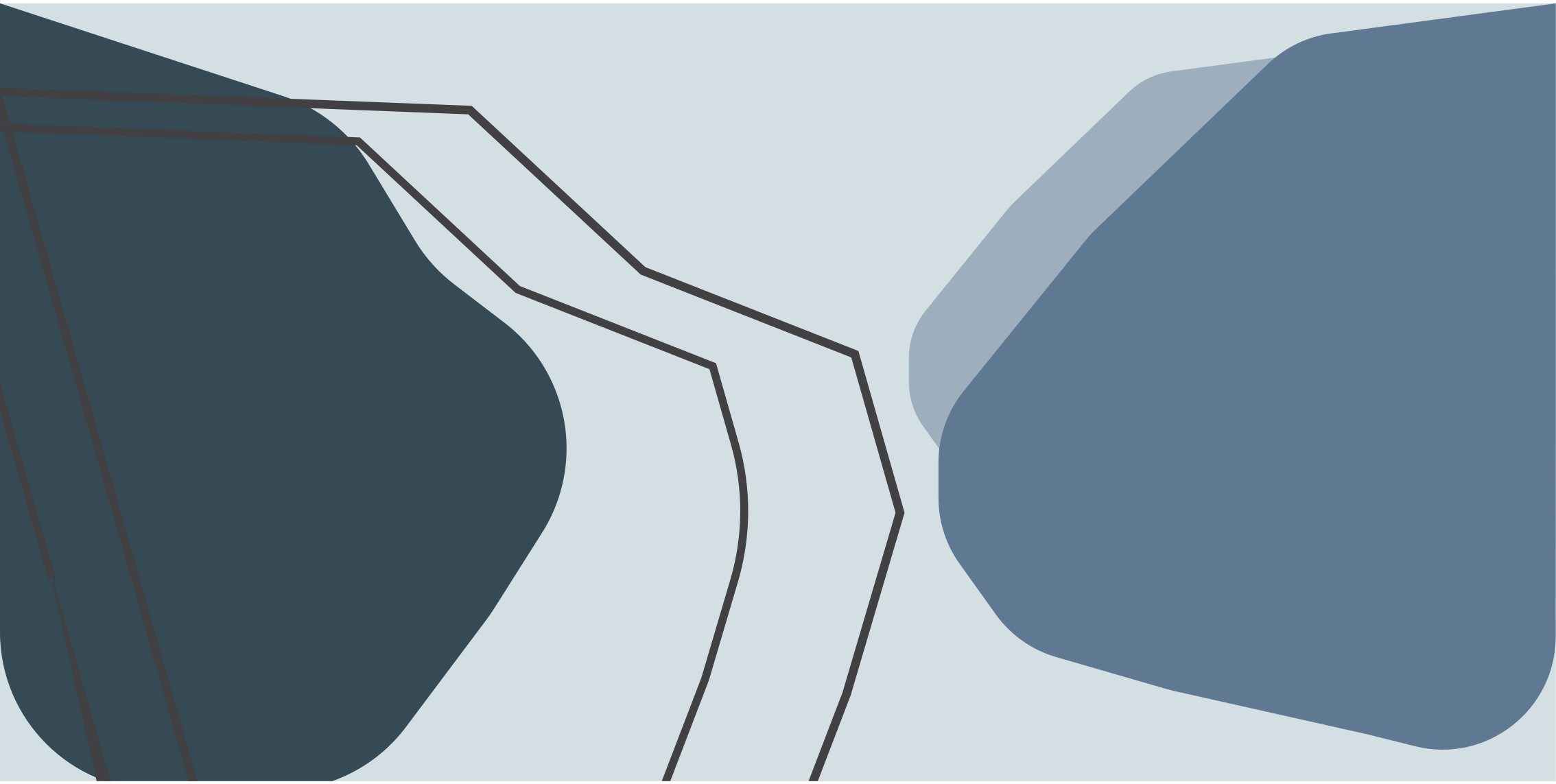 乙烯基地毯几何 抽象轮廓线 - TenStickers