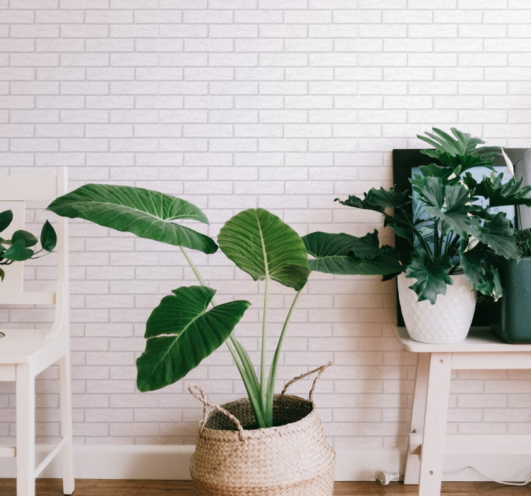 白渍砖壁纸 - TenStickers